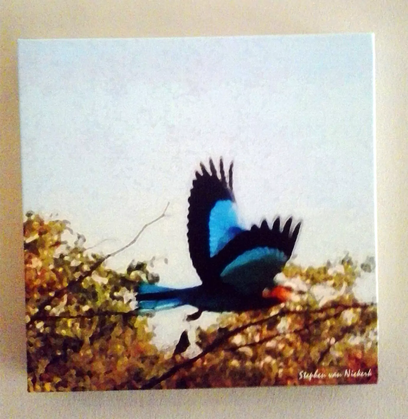 coverup canvas image - 8