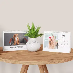 landing/pet-photo-gifts-04-alt